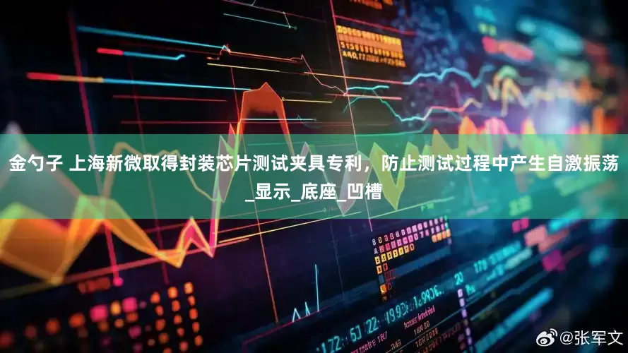 金勺子 上海新微取得封装芯片测试夹具专利，防止测试过程中产生自激振荡_显示_底座_凹槽