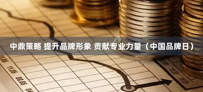 中鼎策略 提升品牌形象 贡献专业力量（中国品牌日）